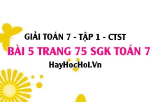 Giải bài 5 trang 75 Toán 7 Tập 1 SGK Chân trời sáng tạo